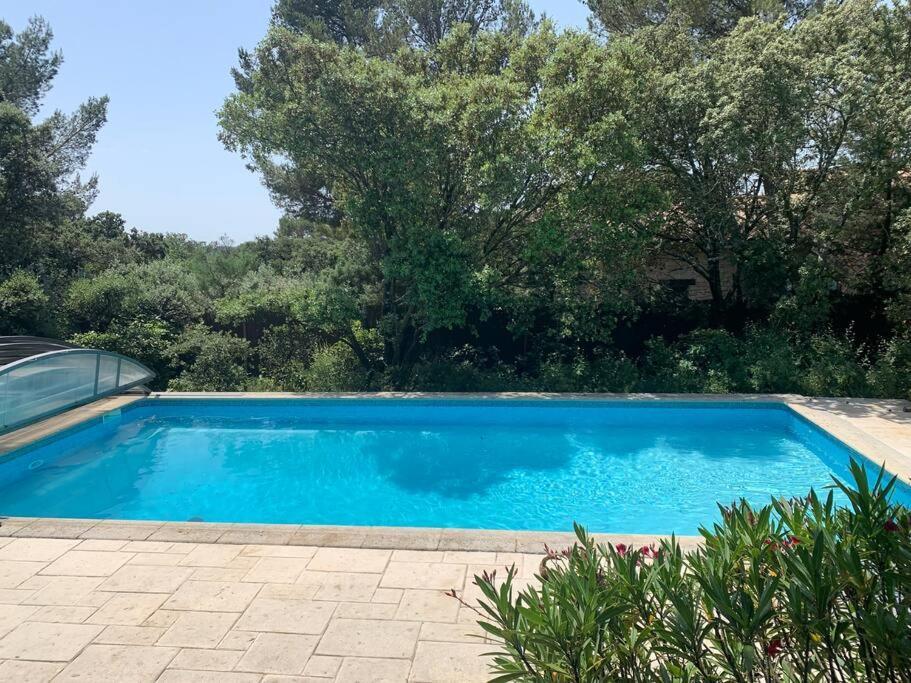 Studio En Rez-De-Jardin Arbore Avec Acces Piscine Et Clim Villeneuve-lès-Avignon Extérieur photo