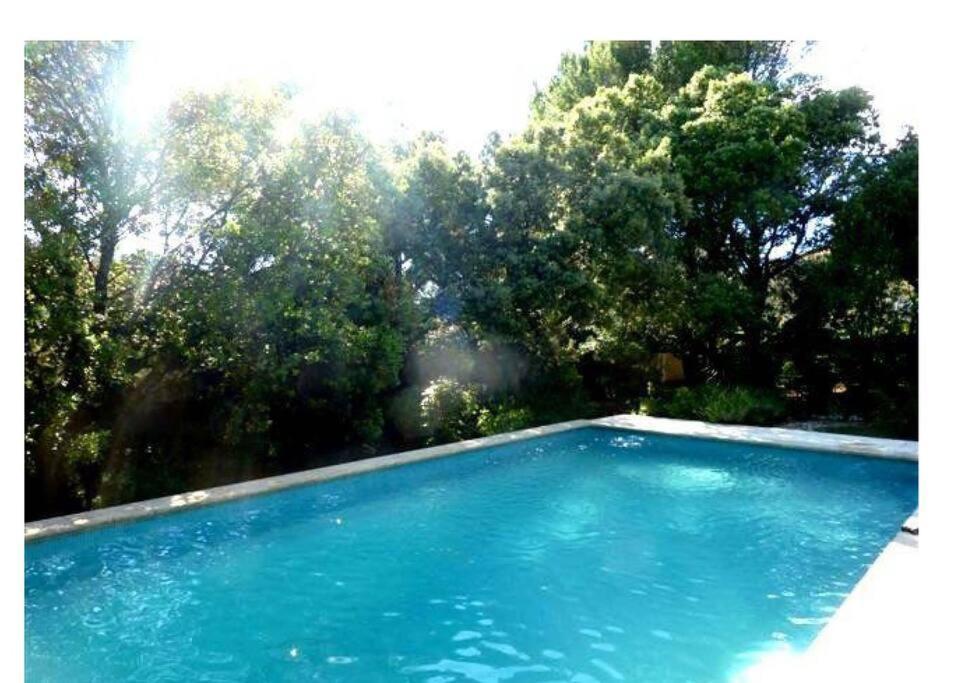 Studio En Rez-De-Jardin Arbore Avec Acces Piscine Et Clim Villeneuve-lès-Avignon Extérieur photo