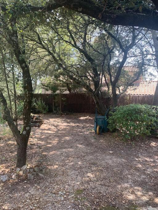 Studio En Rez-De-Jardin Arbore Avec Acces Piscine Et Clim Villeneuve-lès-Avignon Extérieur photo